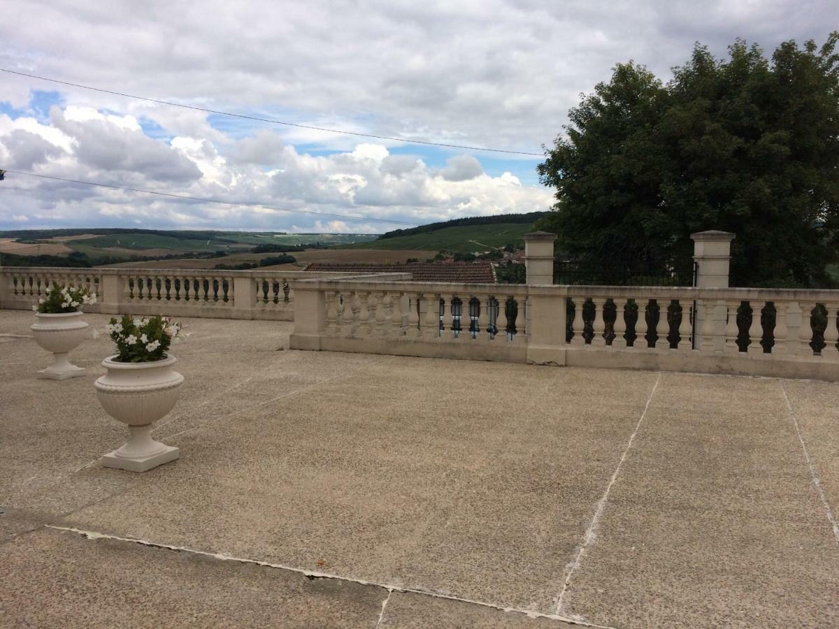 Chambres D'Hotes Karine Smej Chatillon-sur-Marne ภายนอก รูปภาพ