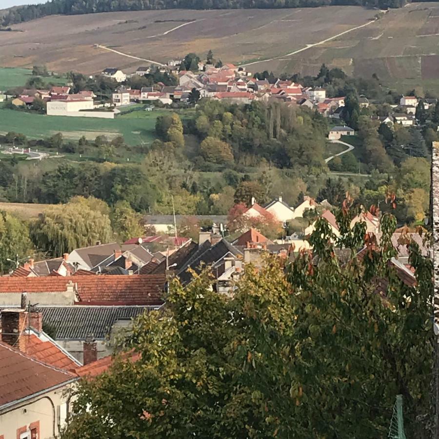 Chambres D'Hotes Karine Smej Chatillon-sur-Marne ภายนอก รูปภาพ
